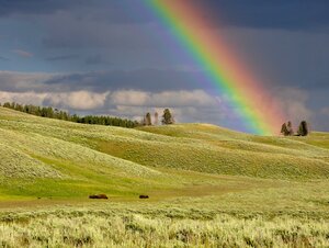 Regenbogen
