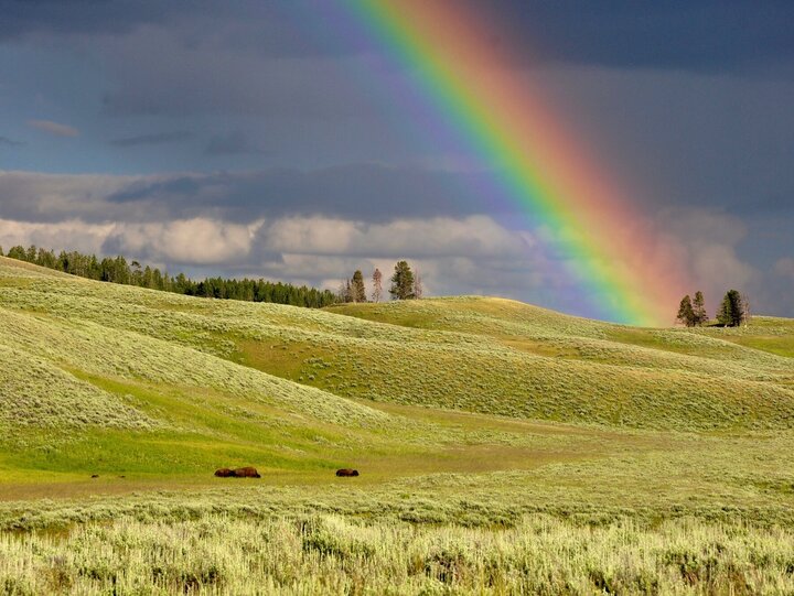 Regenbogen